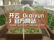 环境展示五