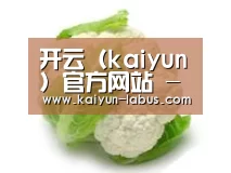 产品名称九