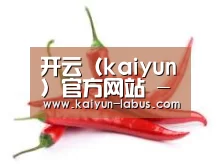 产品名称八