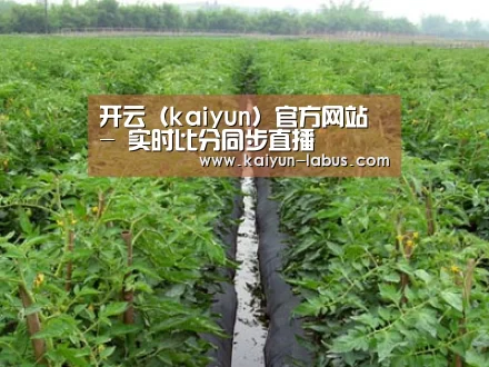 种植基地三