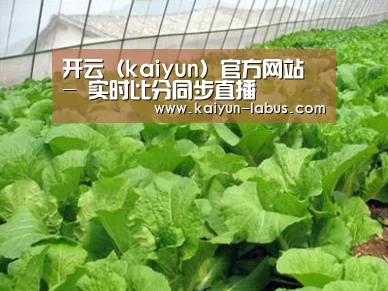 种植基地一