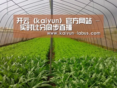 种植基地四