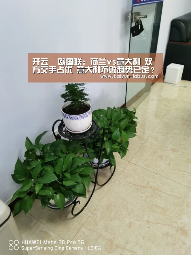 开云-
欧国联:荷兰vs意大利 双方交手占优 意大利不败趋势已定?(图3) Kaiyun官网入口 - 首页通道