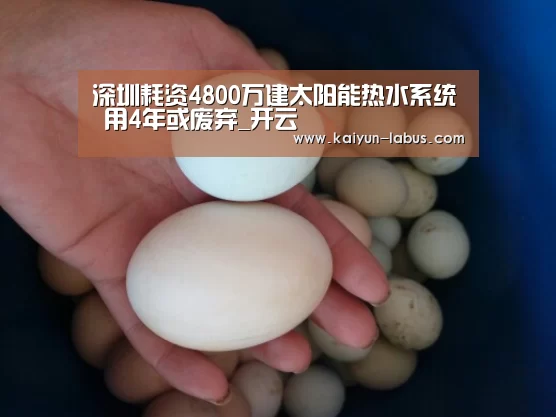 开云