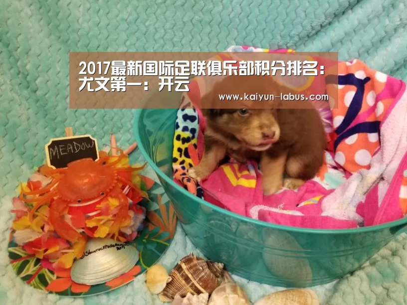 2017最新国际足联俱乐部积分排名:尤文第一:开云(图2) 开云