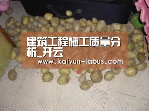 建筑工程施工质量分析_开云(图2) 开云