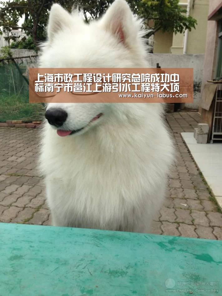 Kaiyun官网入口 - 首页通道