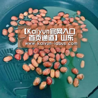 【Kaiyun官网入口 - 首页通道】山东电力工程咨询院有限公司总承包建设的国投板集百万千瓦EPC总承包项目全部竣工投产(图1) Kaiyun官网入口 - 首页通道