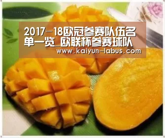 2017-18欧冠参赛队伍名单一览_欧联杯参赛球队名单|Kaiyun官网入口 - 首页通道(图3) Kaiyun官网入口 - 首页通道