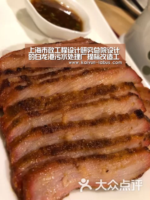 上海市政工程设计研究总院设计的白龙港污水处理厂提标改造工程正式开工:开云(图2) Kaiyun官网入口 - 首页通道
