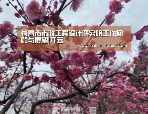 Kaiyun官网入口 - 首页通道