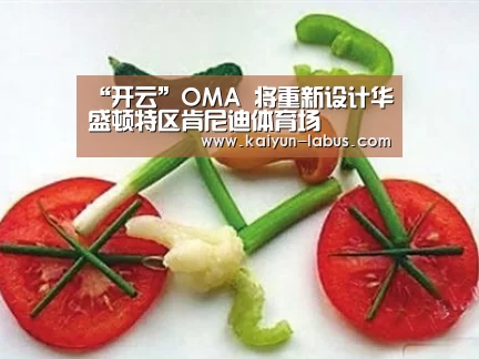 “开云”OMA 将重新设计华盛顿特区肯尼迪体育场(图2) 开云