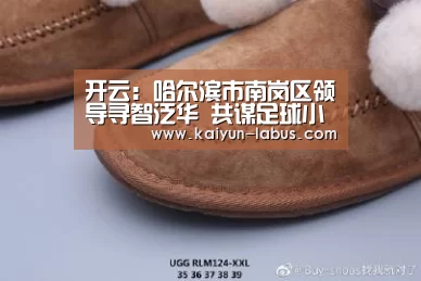 开云:哈尔滨市南岗区领导寻智泛华 共谋足球小镇新蓝图(图3) 开云