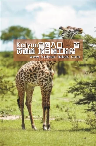 Kaiyun官网入口 - 首页通道_项目施工阶段成本控制(图2) 开云