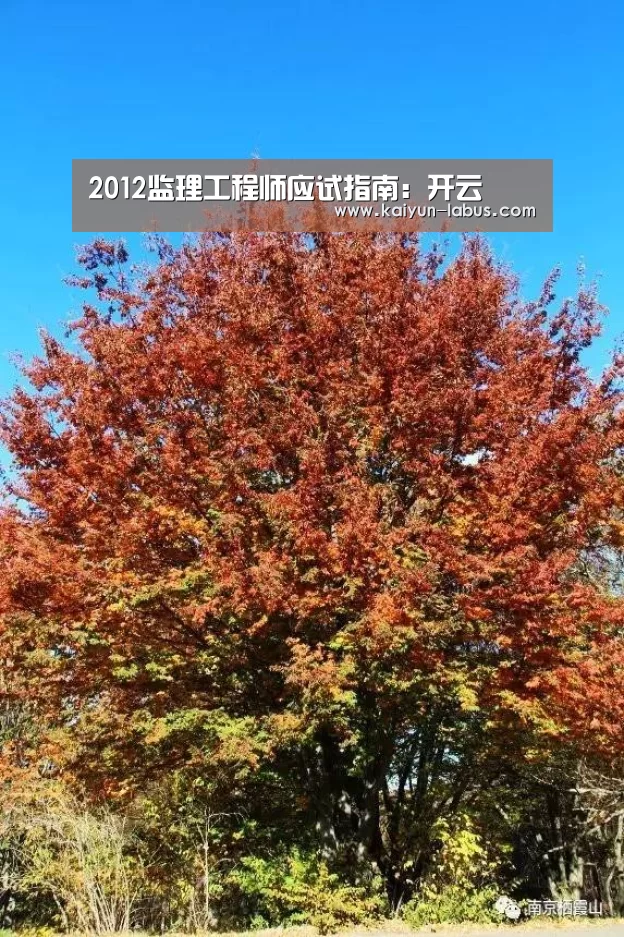 Kaiyun官网入口 - 首页通道